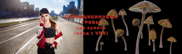 МДПВ Мегион