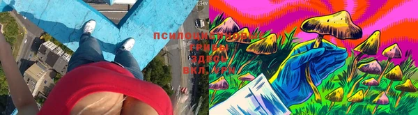 гашишное масло Магас