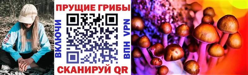 Галлюциногенные грибы MAGIC MUSHROOMS  Магнитогорск 
