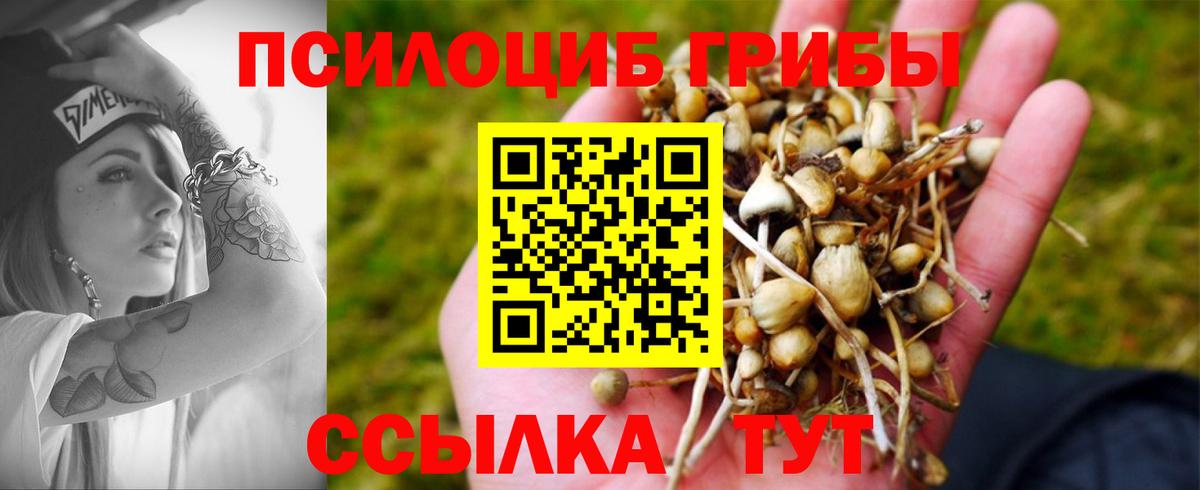 Галлюциногенные грибы мухоморы Магнитогорск