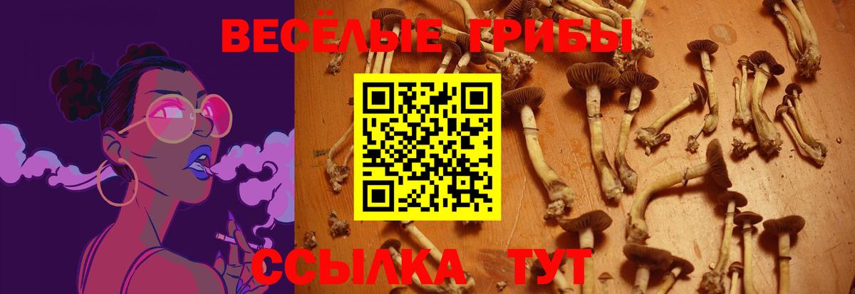 Псилоцибиновые грибы MAGIC MUSHROOMS  Галлюциногенные грибы MAGIC MUSHROOMS  Магнитогорск  Вход с VPN 